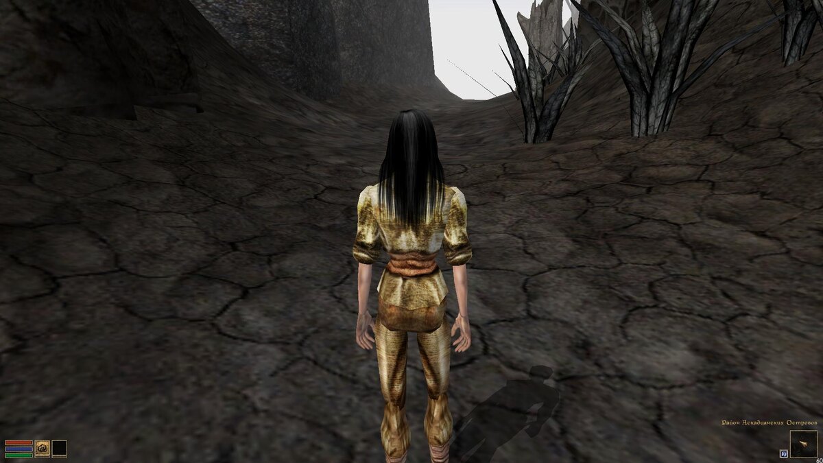 Мэриголд Флауэр (скриншот из игры TES 3: Morrowind)