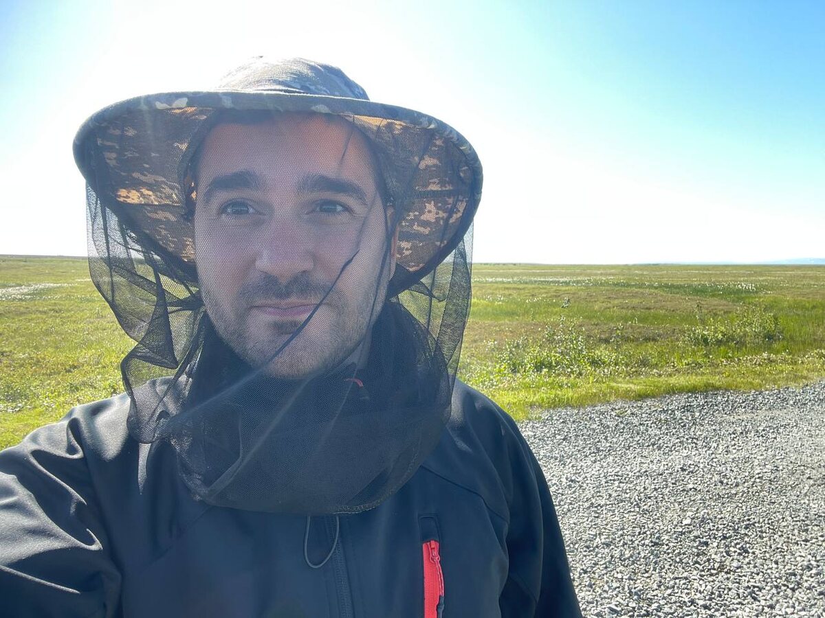 Тундра, солнце и комары — полный комплект.