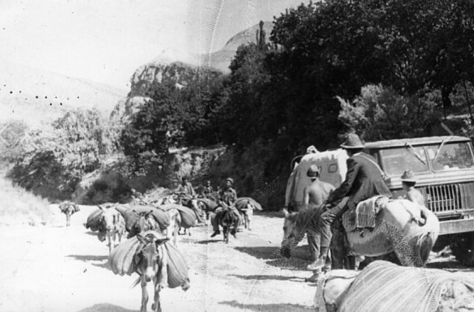 Местные относились к нам с пониманием и без видимой агрессии...