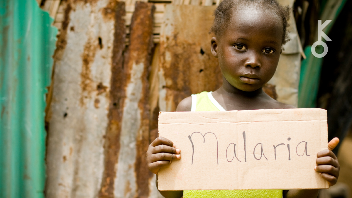 Ученые создают синтетическую кровь, которая может защитить от кровопотери в чрезвычайных ситуациях — и даже сделать человеческую кровь смертельно опасной для комаров. Разбираемся, как это работает и что ждет медицину завтра.