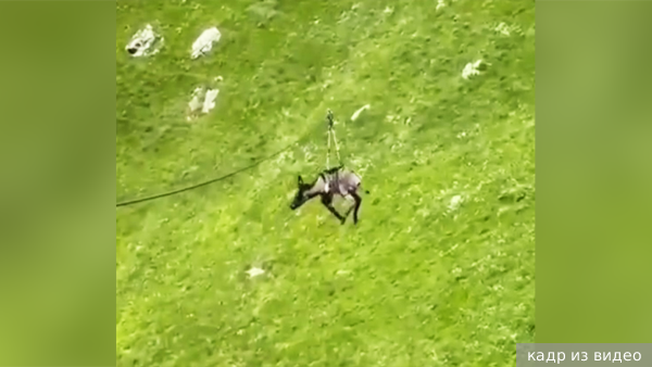     Фото: кадр из видео   
 Текст: Валерия Городецкая