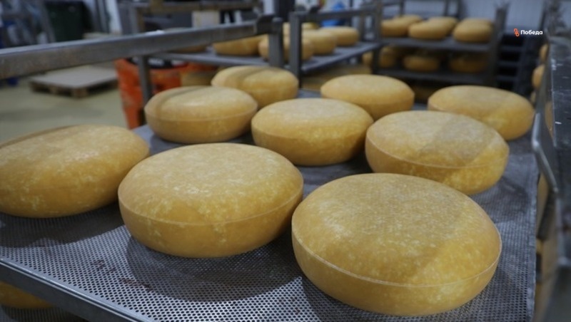      Фото: ИА «Победа26»