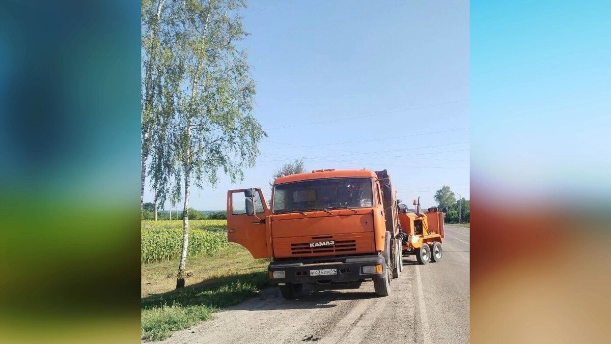    Фото: Настоящий Гладков/t.me