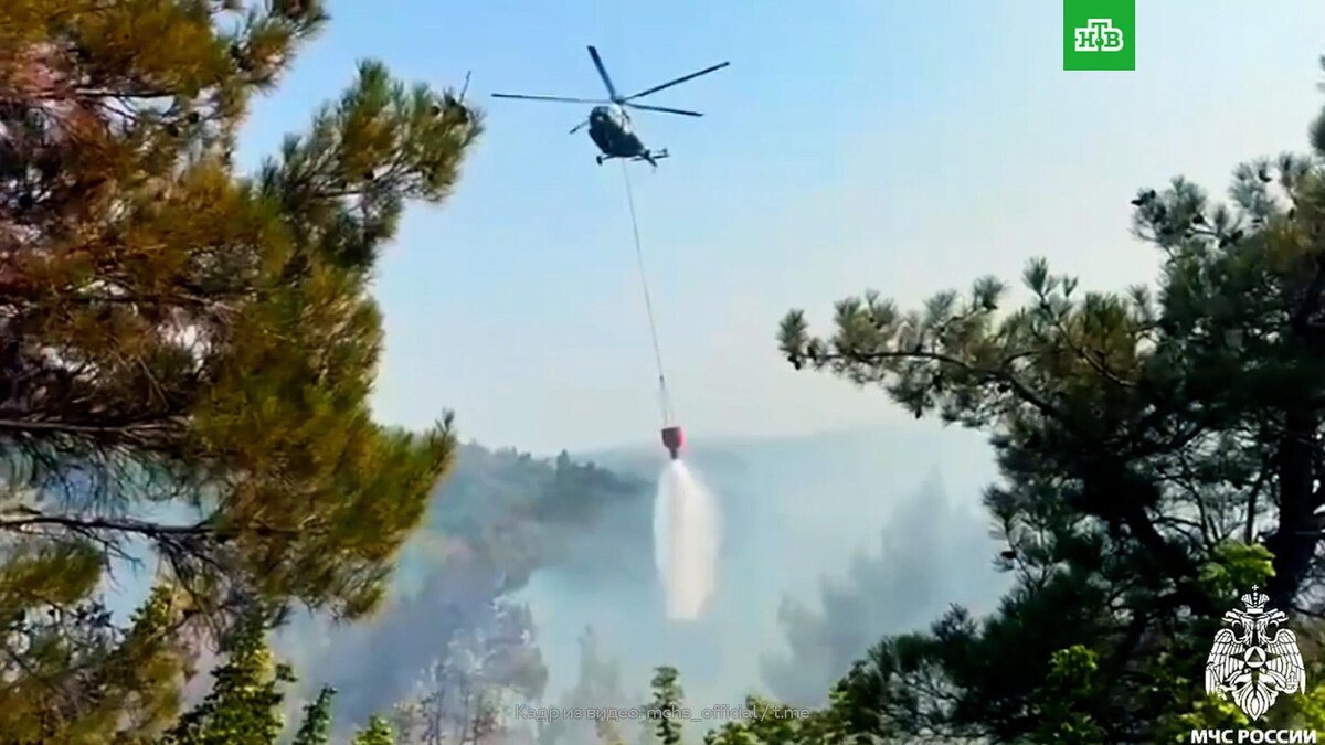    Появились кадры крупного лесного пожара под Геленджиком