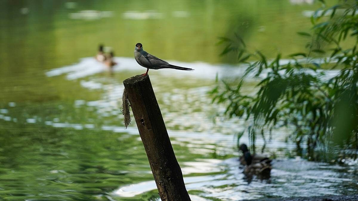    Фото: Александр Авилов / АГН Москва