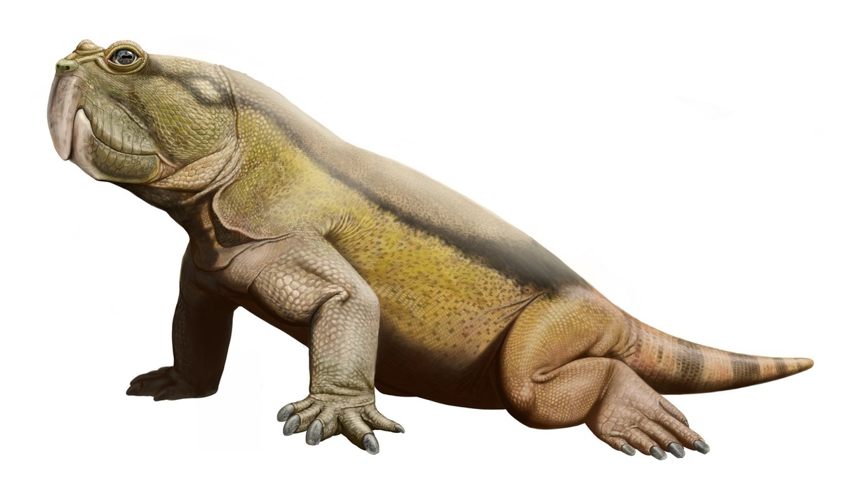 Теюмбаита. Иллюстрация.