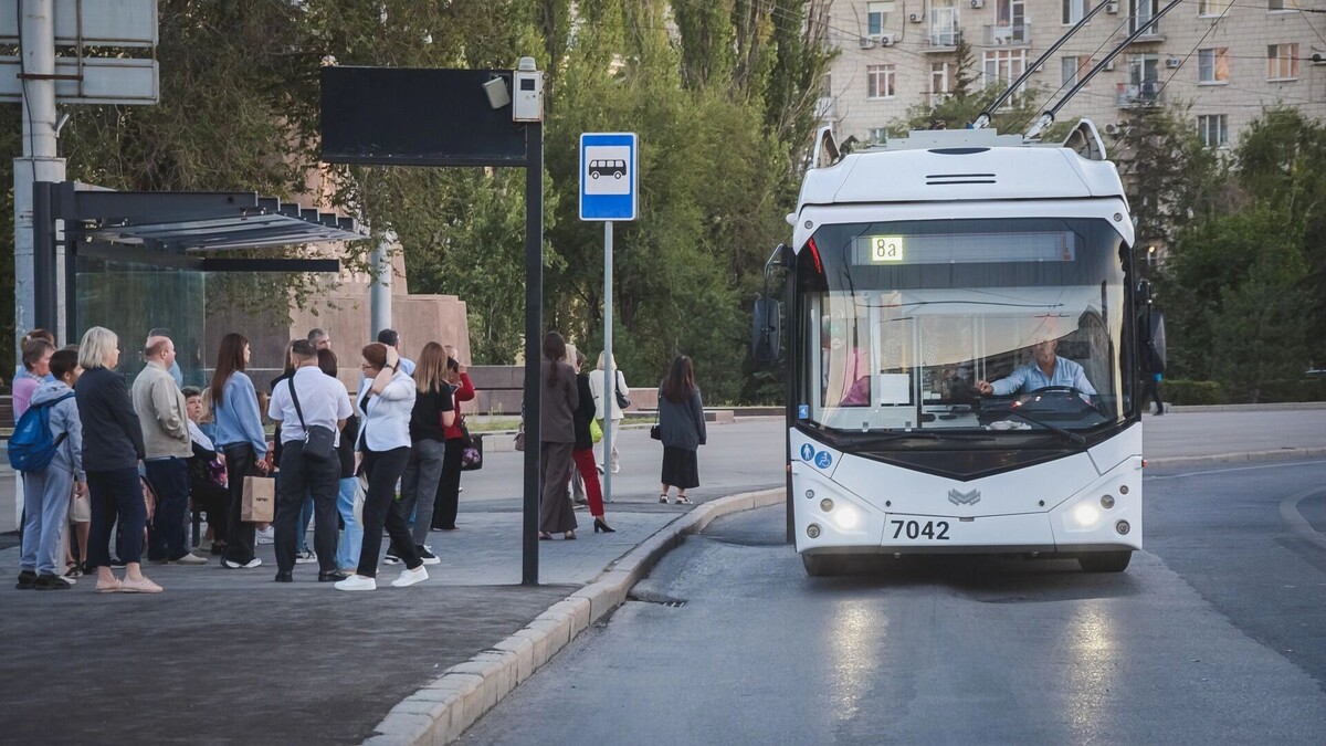     Источник: 1MI