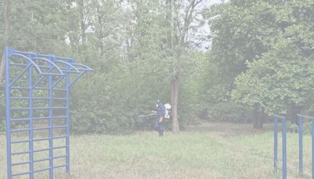    фото: администрация Новошахтинска Редактор