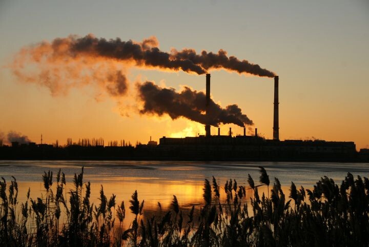    Фото: Александр Зинченко