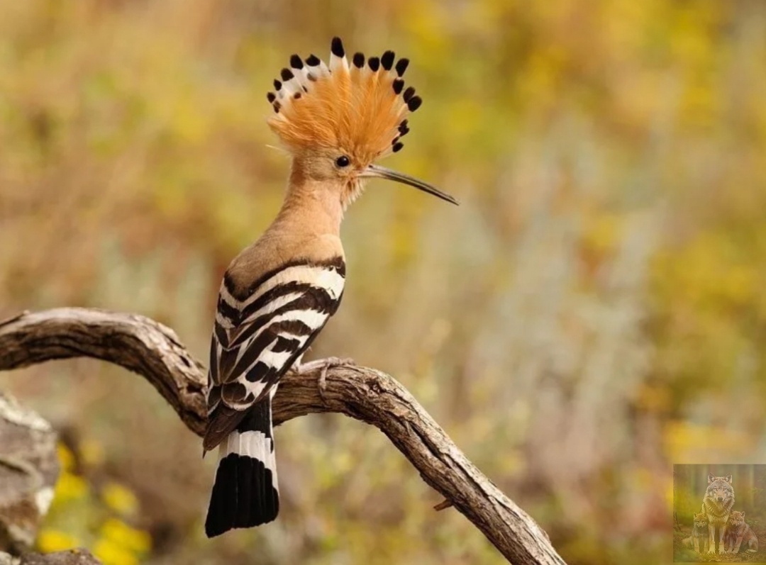 Я начинаю свой рассказ