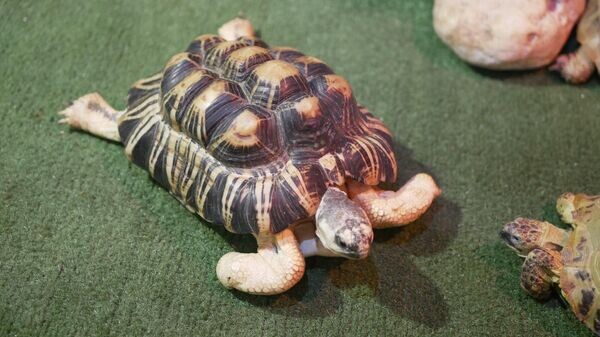    © Getty Images / married man