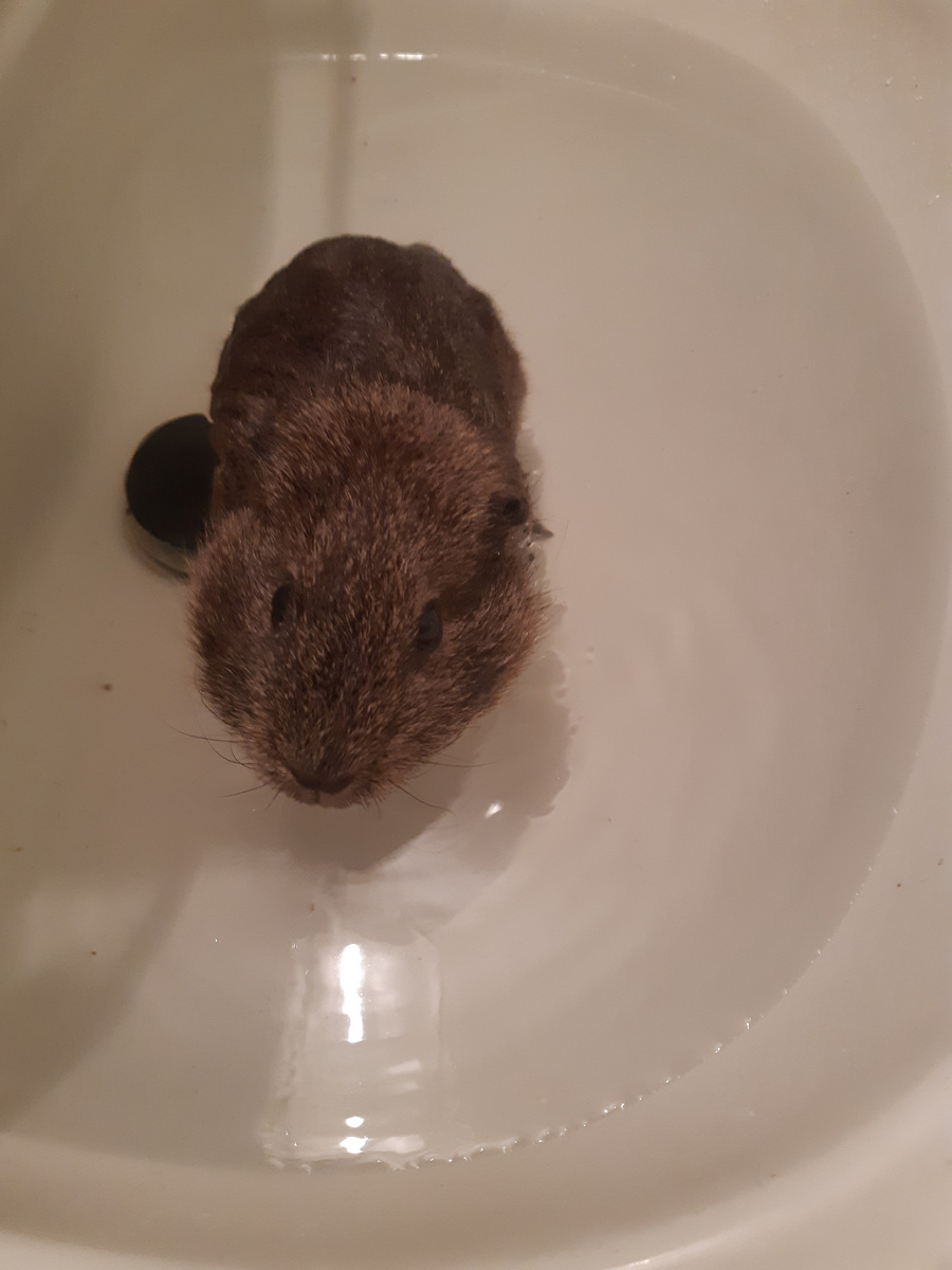 Воды налито - до краёв.