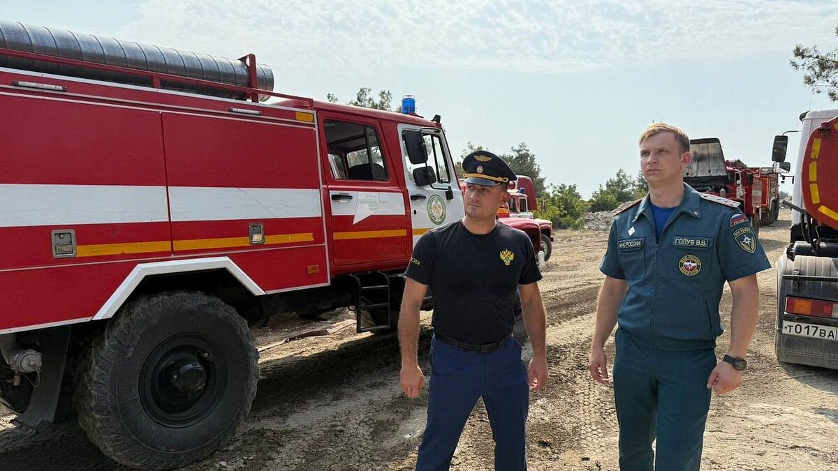    Фото: t.me/proc_23