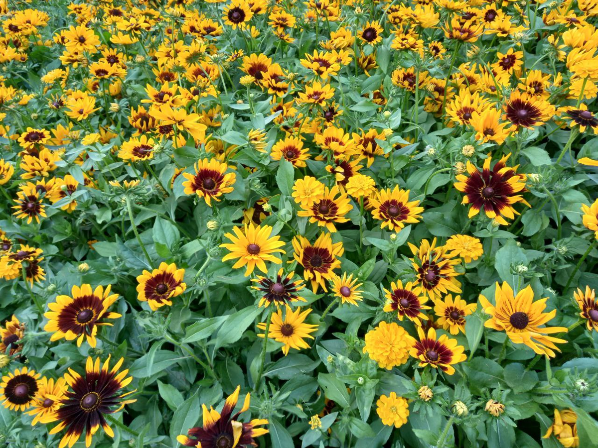 слишком много солнца)))