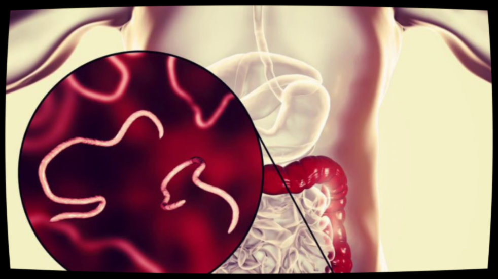 И что надо для этого есть.