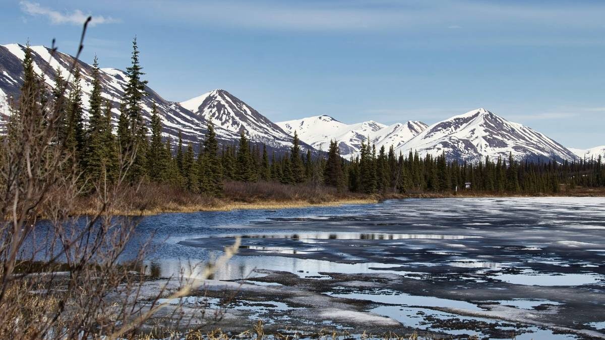    Фото: Shutterstock