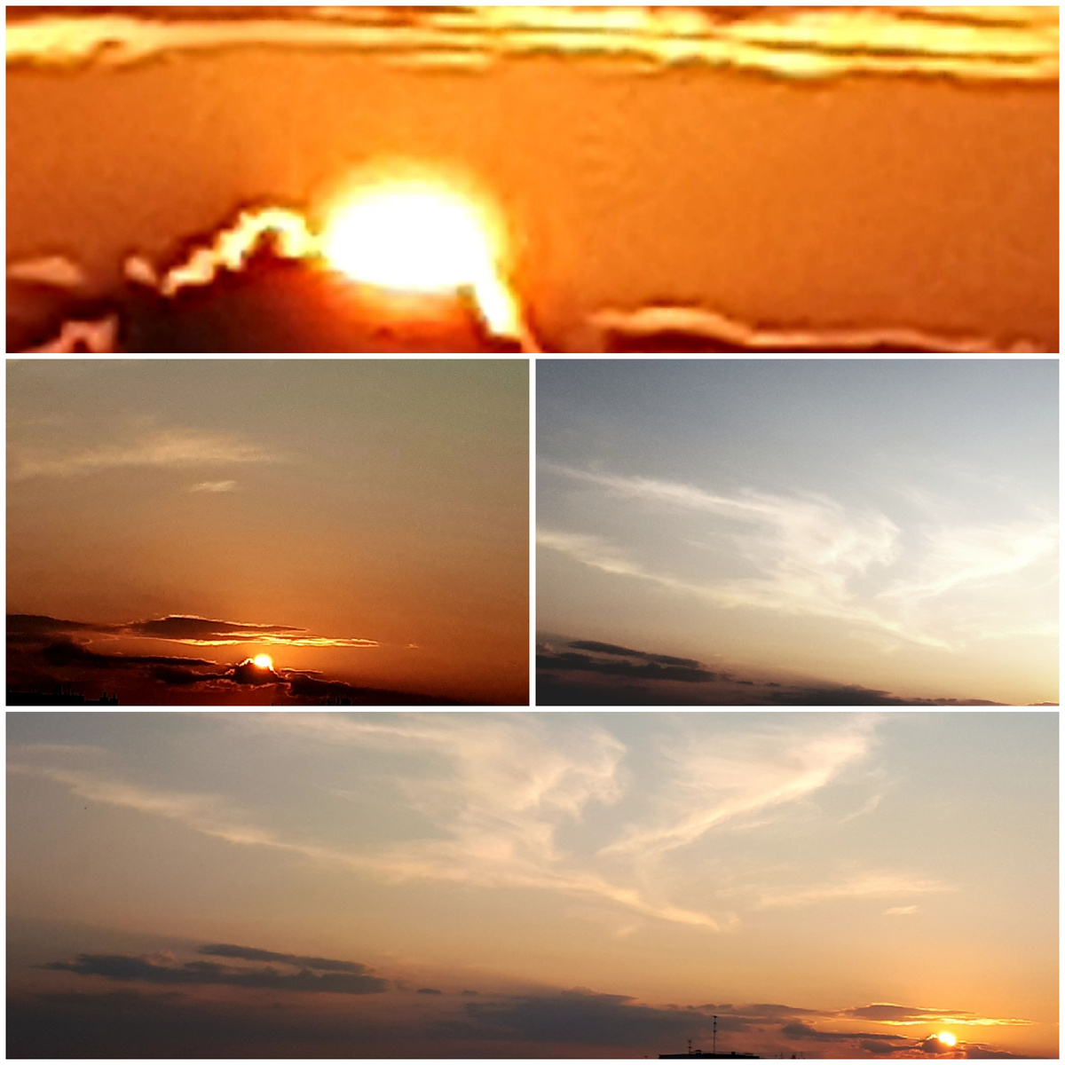 Коллаж автора 29.07.2025г.