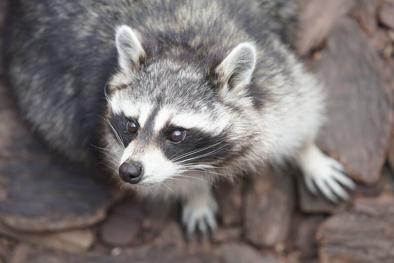     / Источник: © ИЗВЕСТИЯ