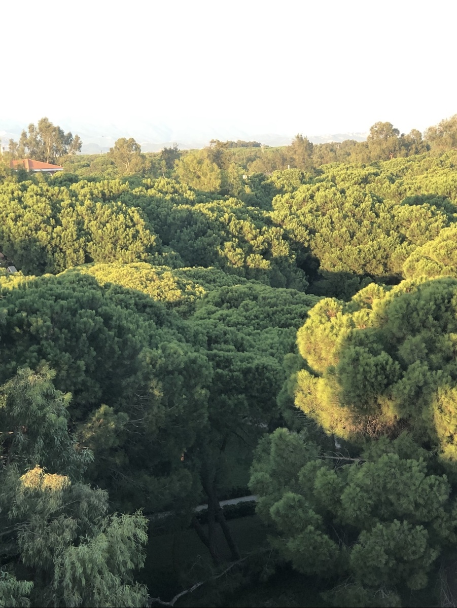 Фото из личного архива