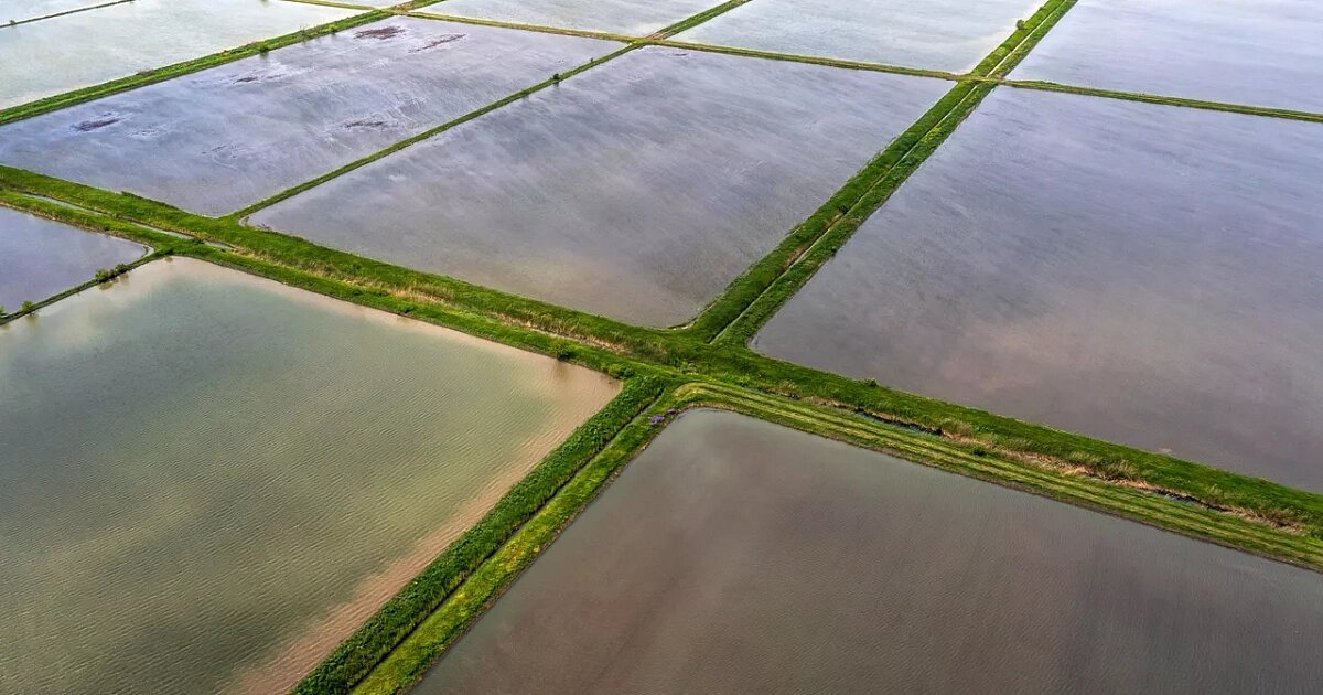Фото: Виталий Тимкив / РИА «Новости»
