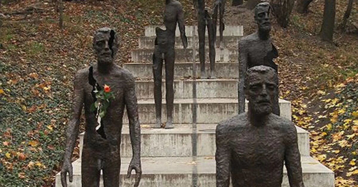 Картинка взята из открытых источников интернета.