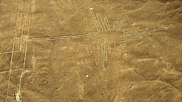 Геоглифы плато Наска. Фото из открытого доступа