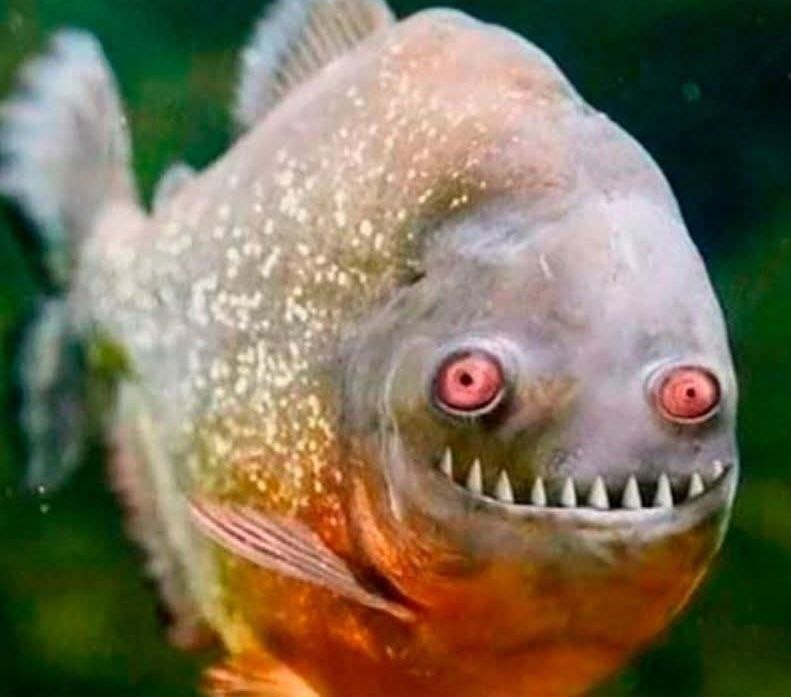 Мама иногда устает.