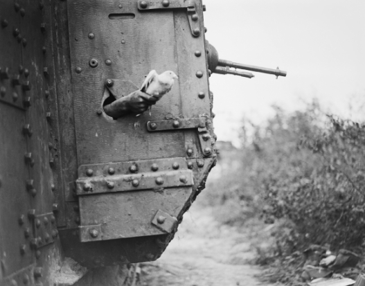 Почтовый голубь в танке, битва при Амьене, 9 августа 1918 года
