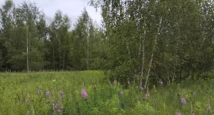    Единый портал торгов МО ЕАСУЗ