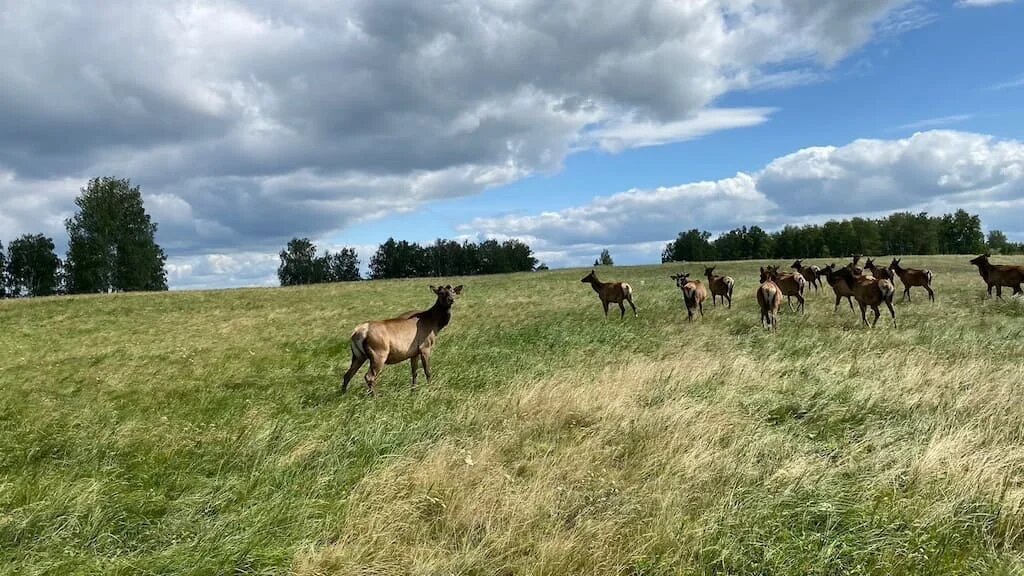 Фото: UfacityNews.ru