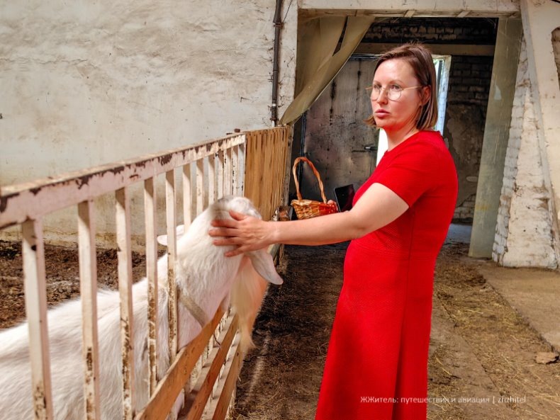 Элла Глебова на ферме «Смородиновский барашке»