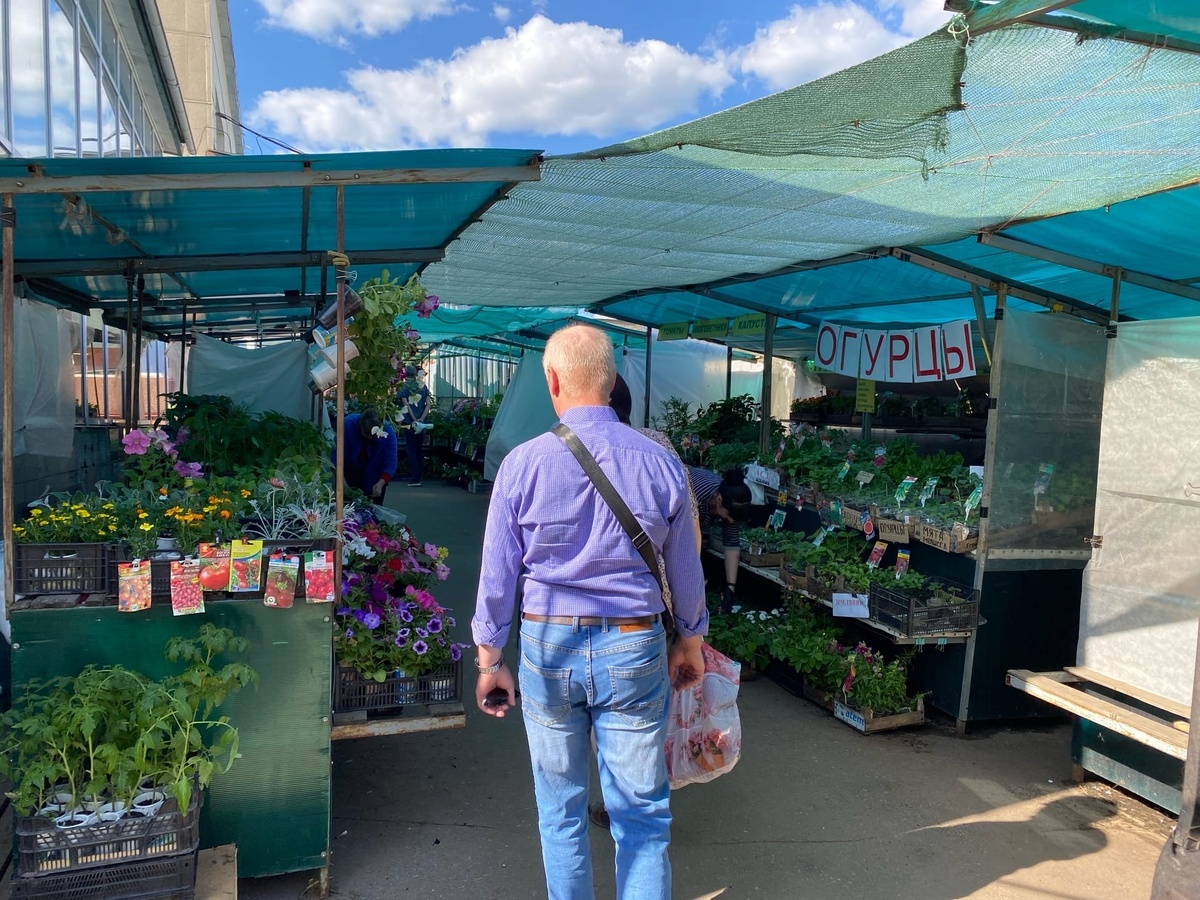    Поддержат при любых неудачах: вспоминайте эти слова психолога Макса Люшера, который дожил до 93 лет