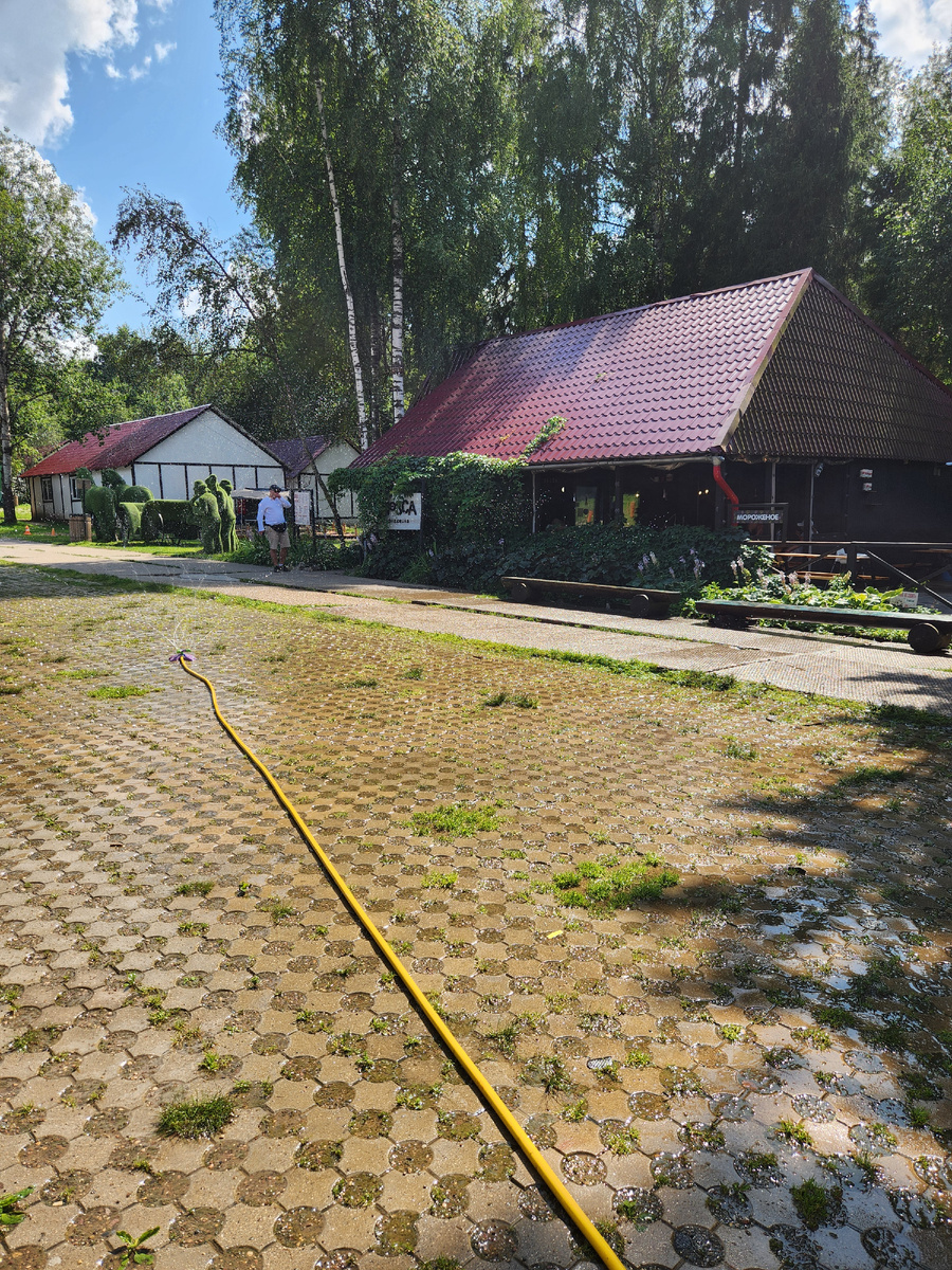 Фото автора.