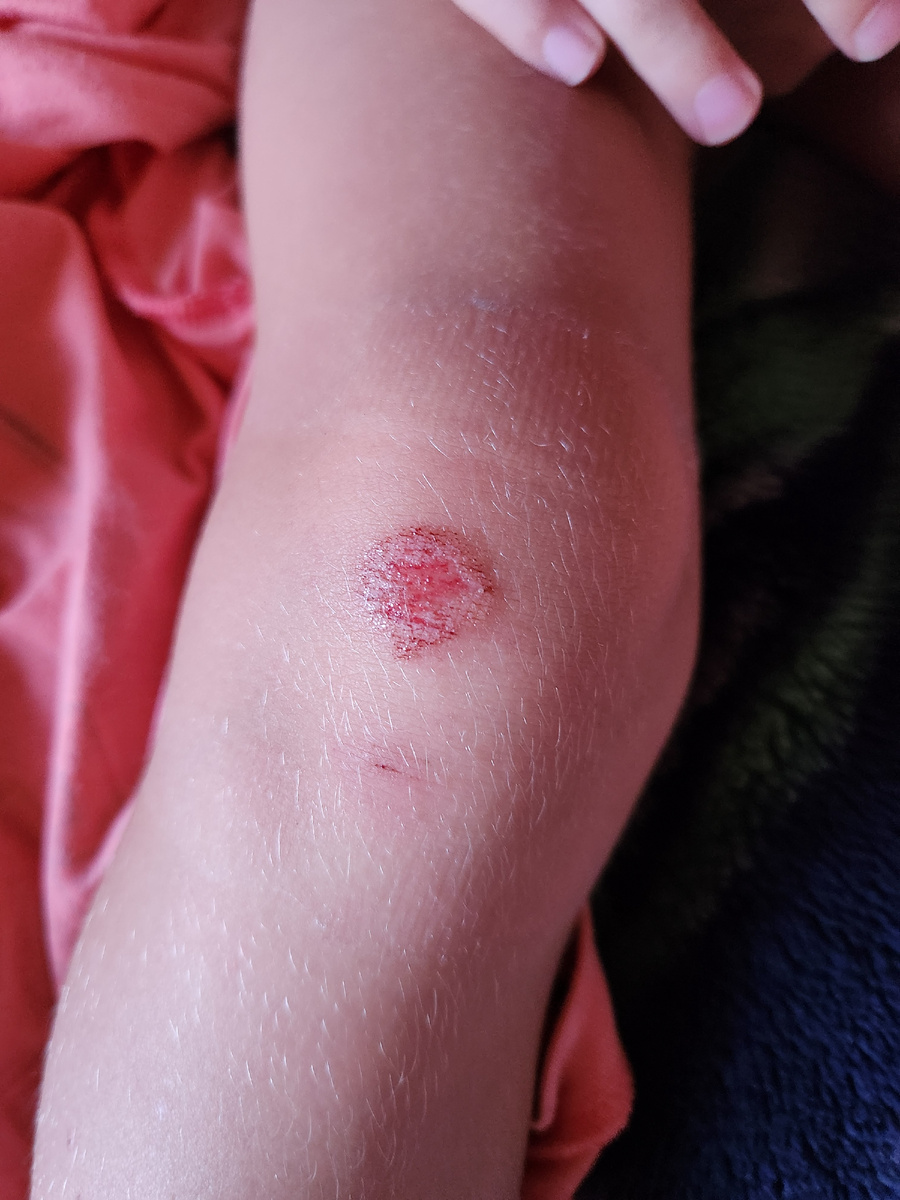 Фото автора.