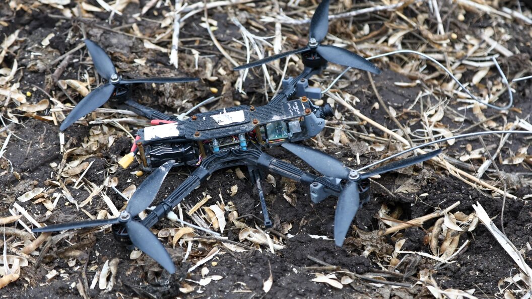    Фото: Alexander Legky/Global Look Press