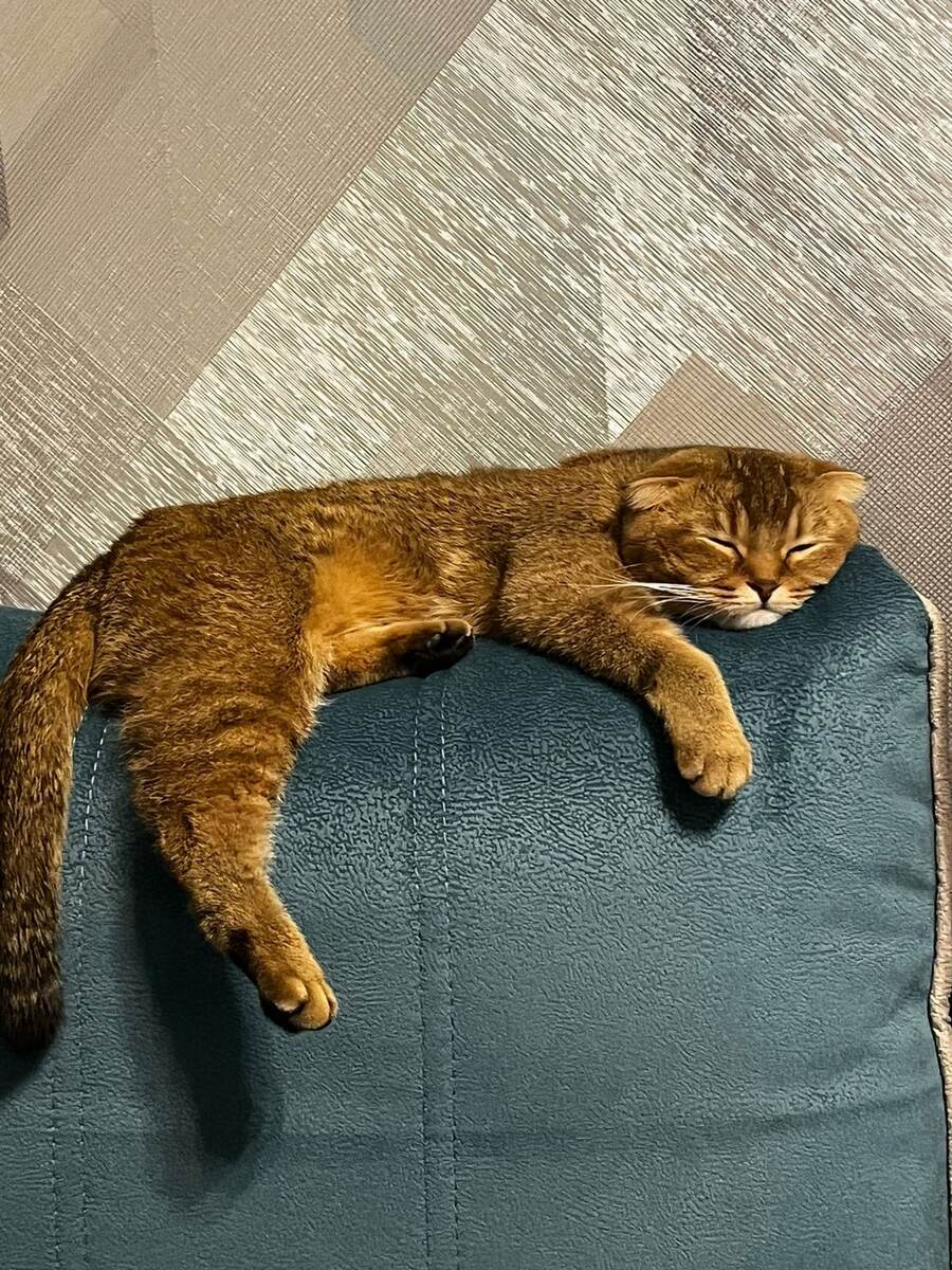 Из личного архива