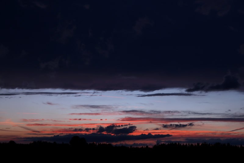 Фото: Karl-Josef Hildenbrand / Globallookpress