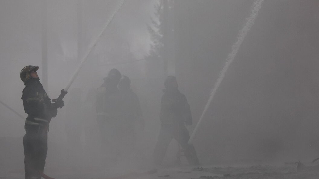    Фото: Belkin Alexey/Globallookpress