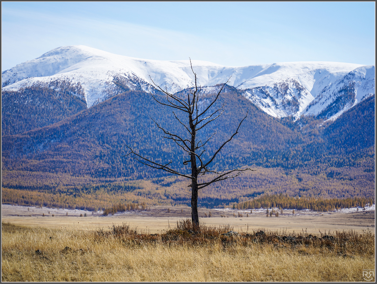 Алтай. Фото: Михаил Рябинин