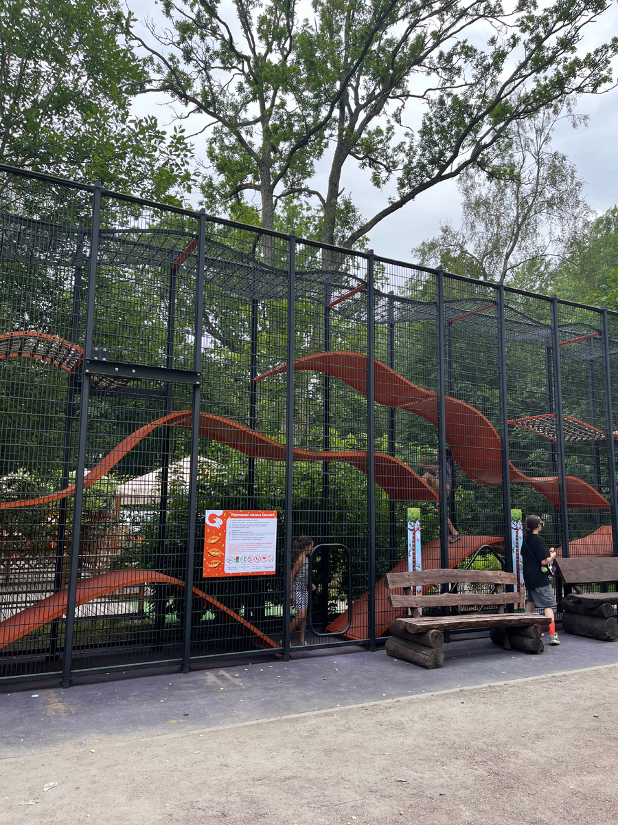 Лабиринт в парке находится рядом с фуд-кортом