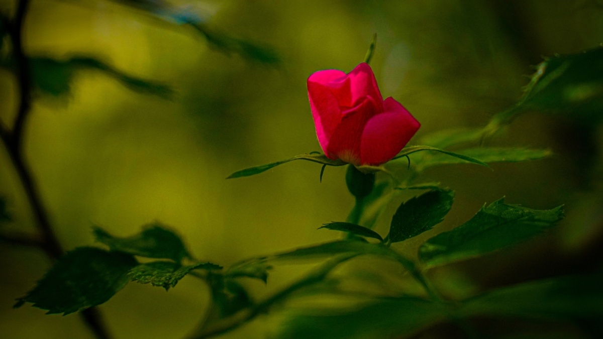 Светлана Мулыкина📷
