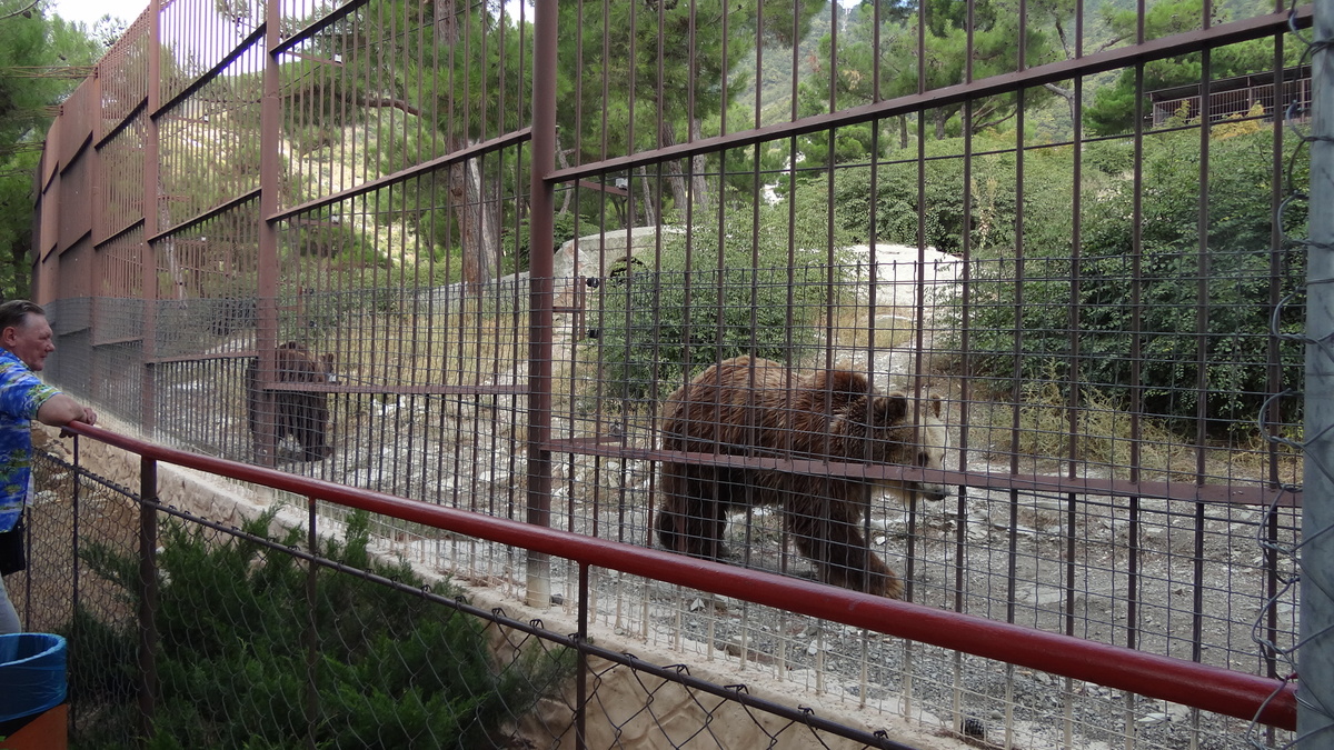 Зоопарк в Сафари-парке (Геленджик)