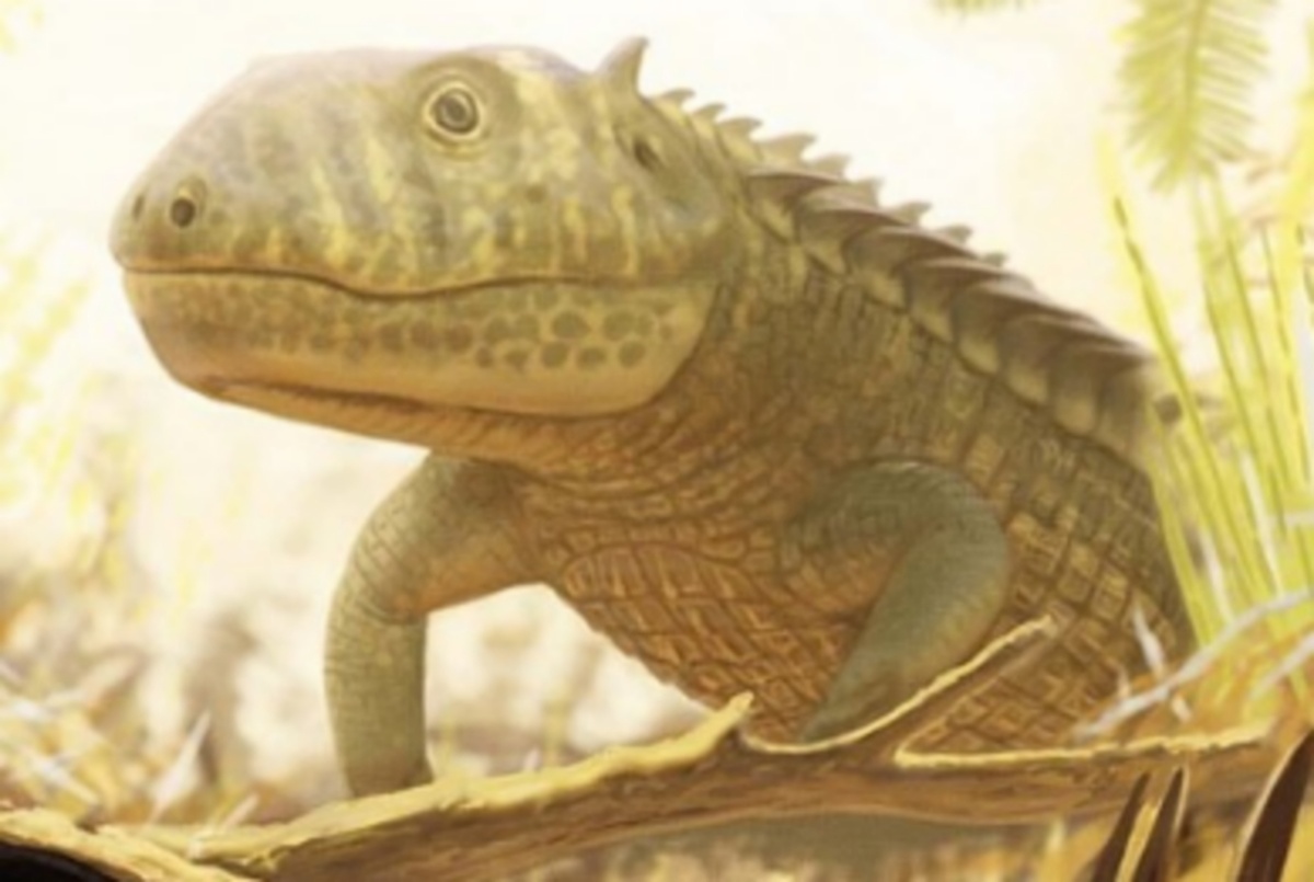 Реставрация прижизненного облика аценазуха.