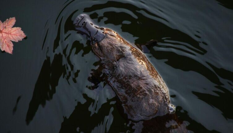     Фото: Michael Jerrard on Unsplash