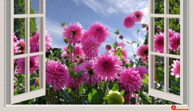     Фото: по лицензии CC0 Pxhere.com