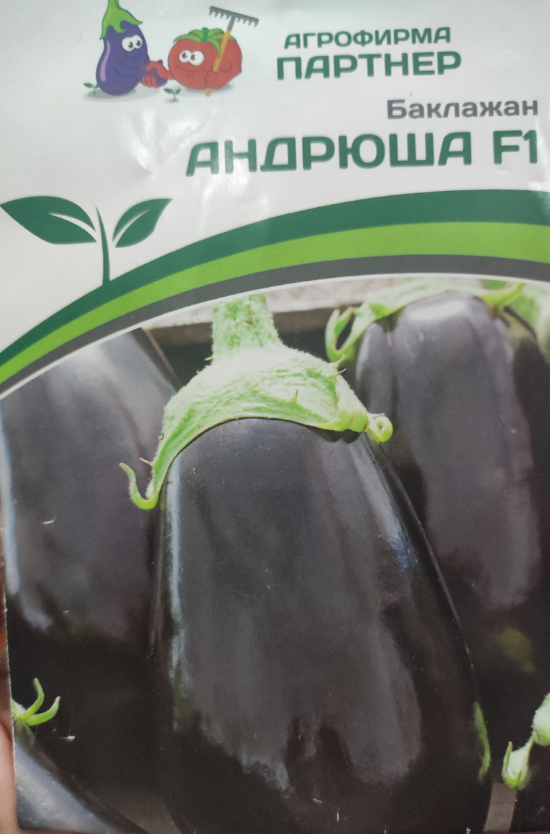 Фото автора, пакет семян гибрида Андрюша от агрофирмы Партнер, август 2025 года