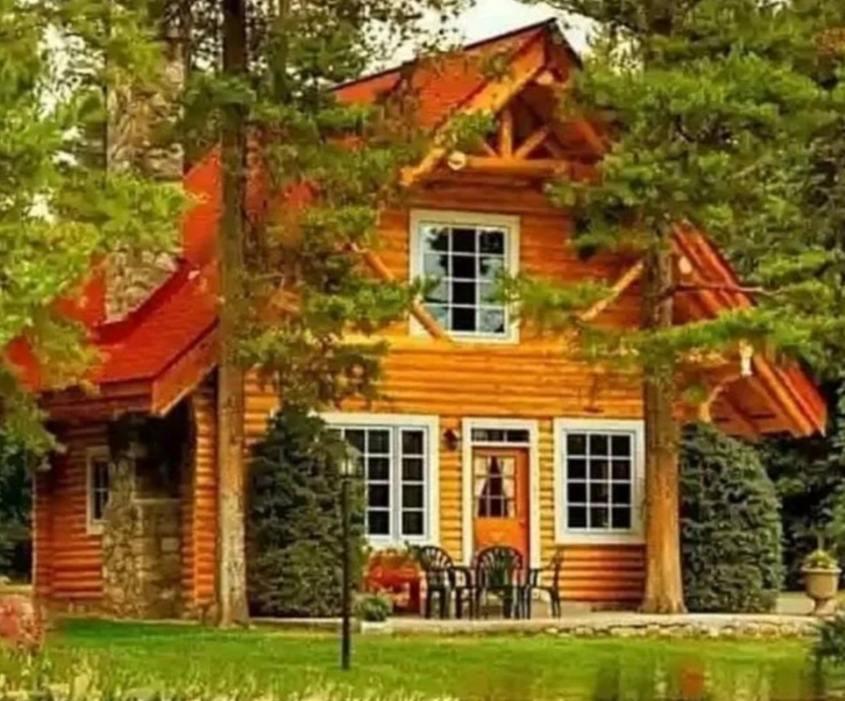 фото из интернета