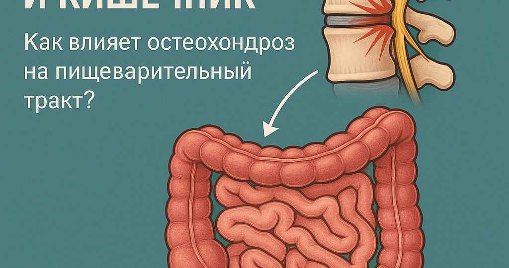 Вздутие, диарея, запоры — виноват позвоночник? Как остеохондроз бьёт по кишечнику