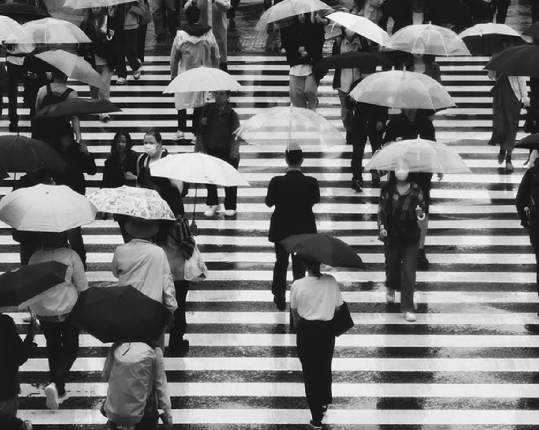 Источник: https://unsplash.com/ 