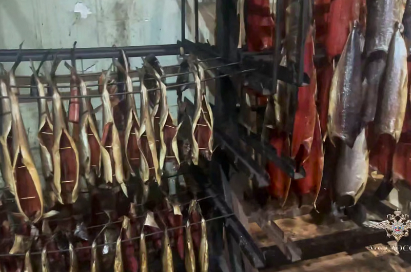 СУ СКР по Камчатскому краю